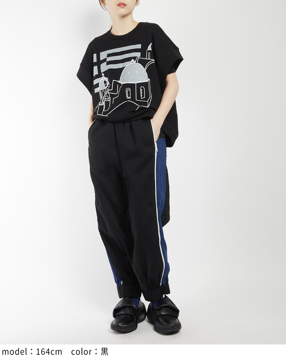 テーマプリントＴ