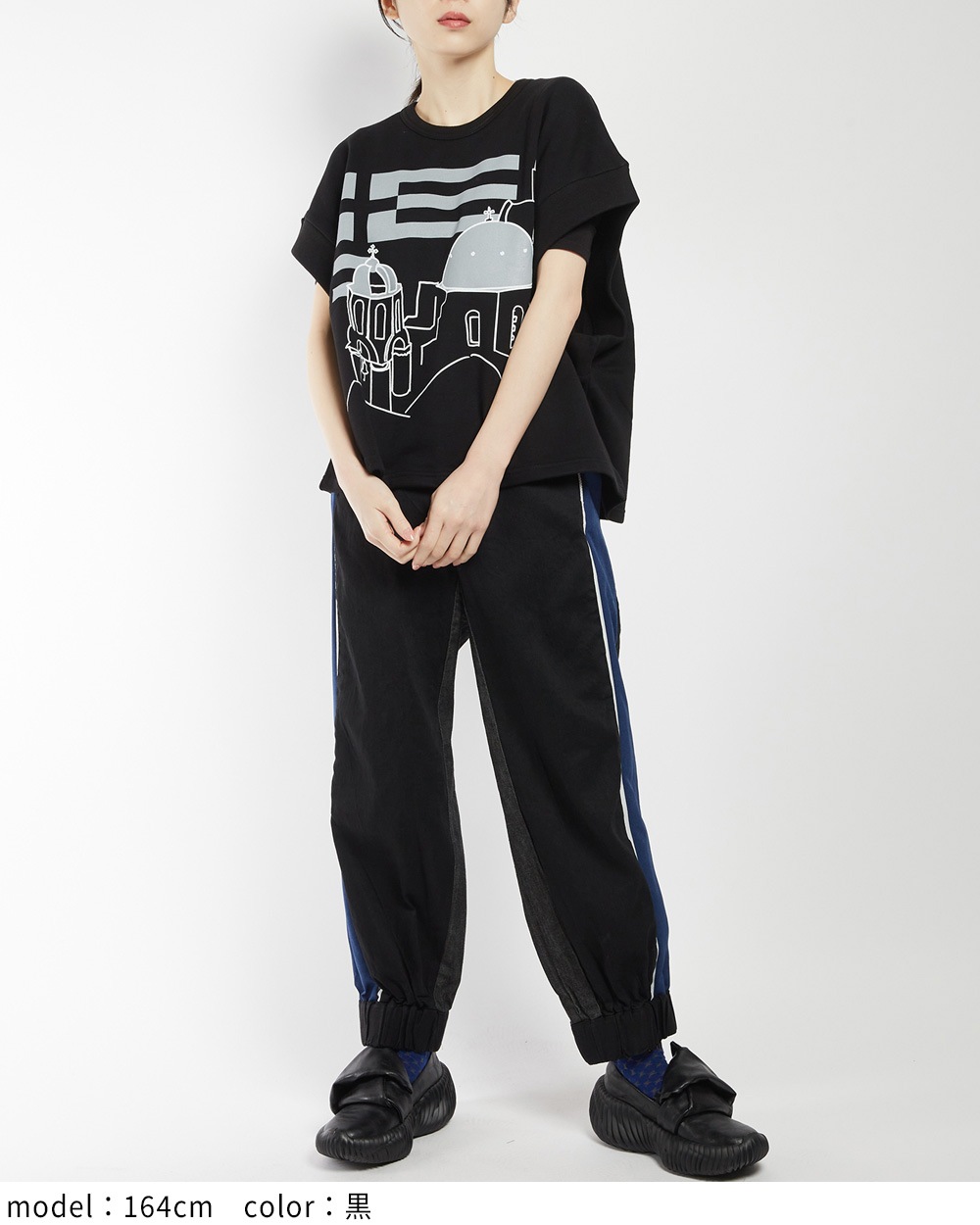 テーマプリントＴ