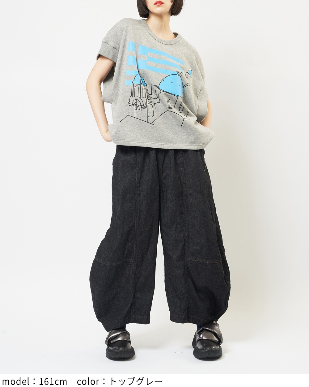 テーマプリントＴ