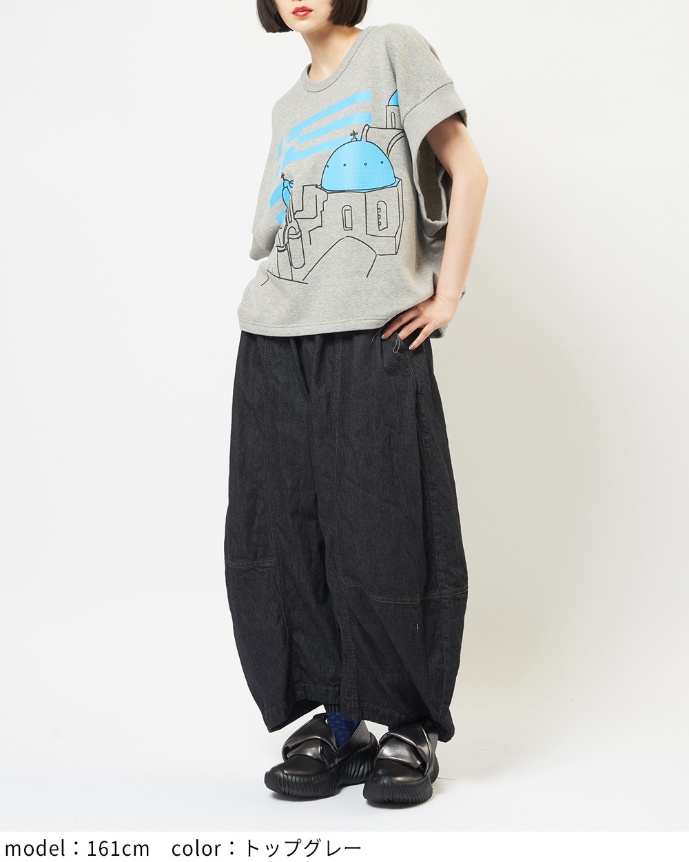 テーマプリントＴ