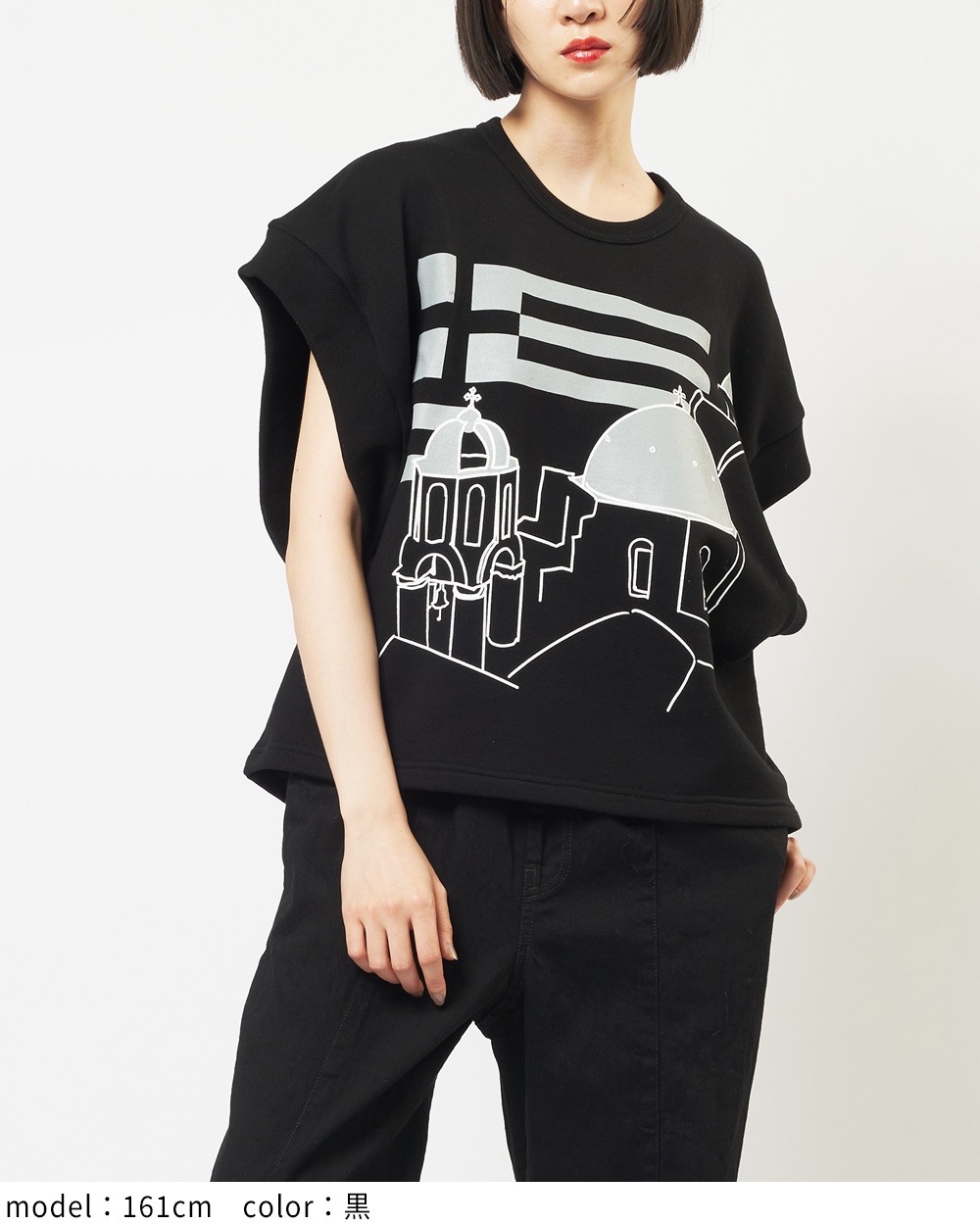 テーマプリントＴ