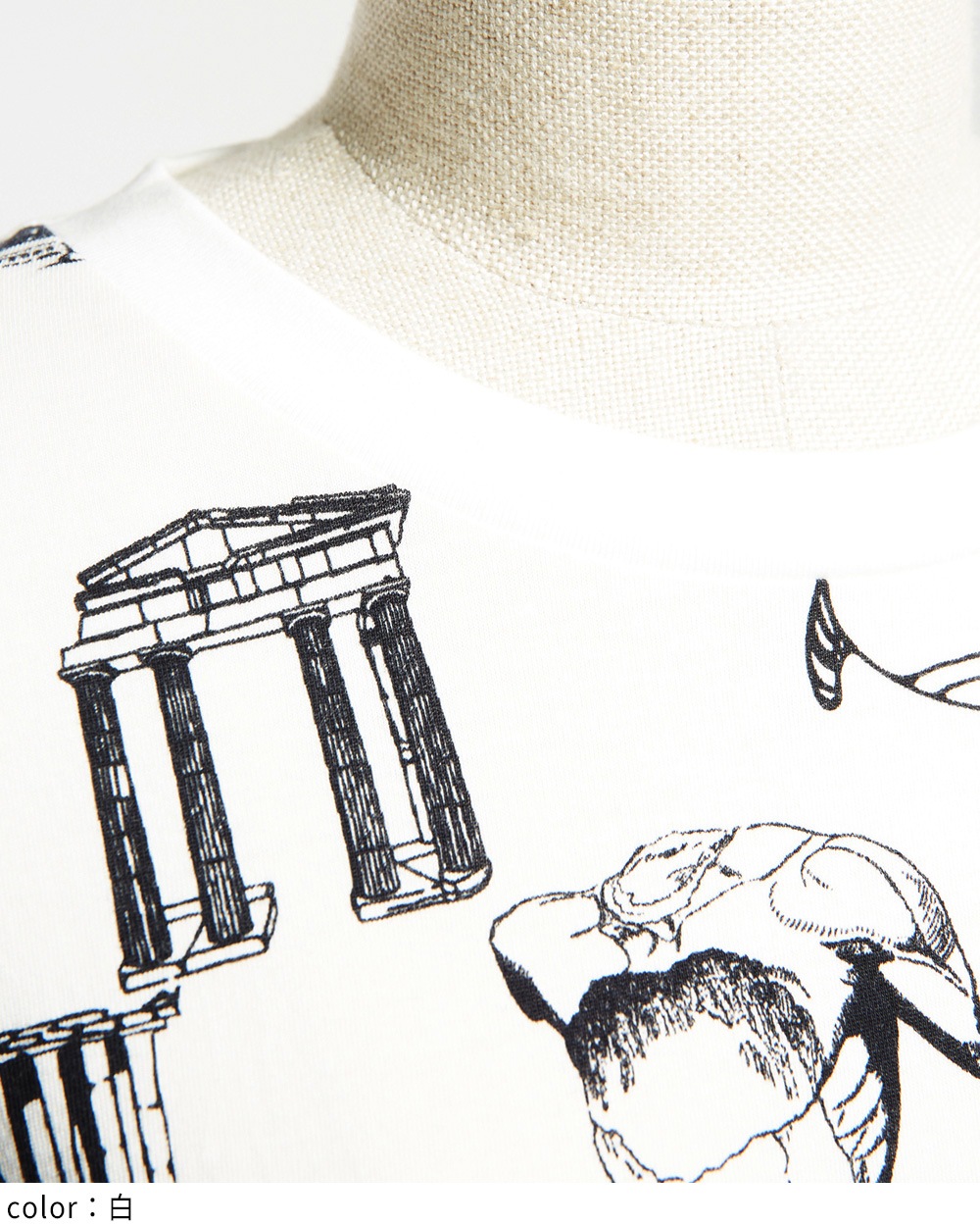 パルテノンドレープＴ