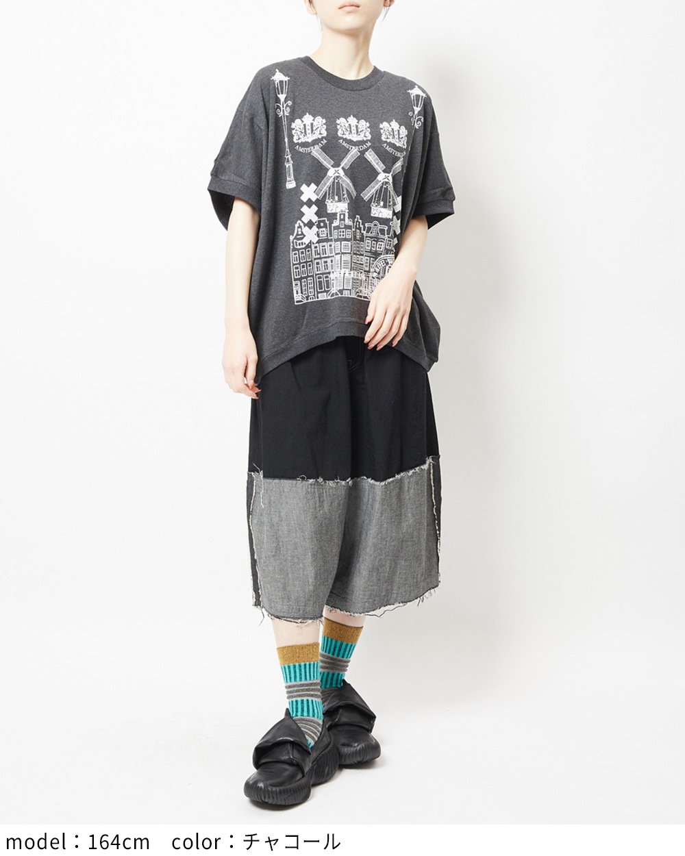 オランダＴ