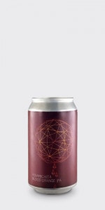 Y.MARKET ����¿�֥�åɥ����IPA