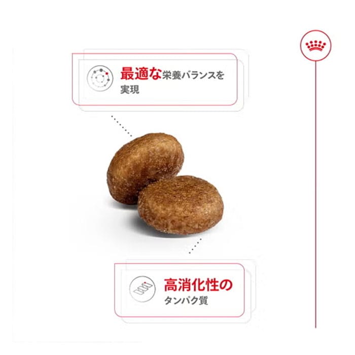 ロイヤルカナン マキシ アダルト 5+ 15kg 大型犬用 中高齢犬用 5歳～8