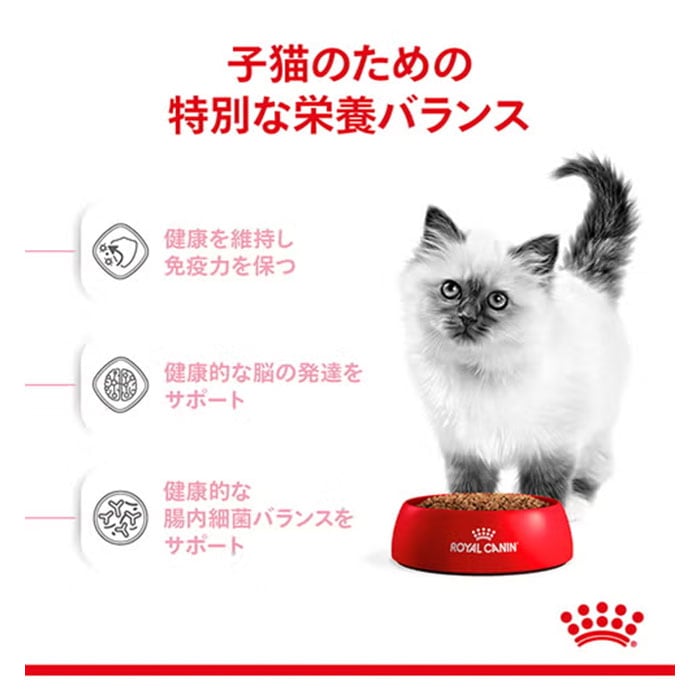 生後12ヶ月齢まで仔猫用 キトン 2kg 3袋 ロイヤルカナン キトン 2kg 子猫用 生後12カ月齢まで 成長後期の子猫用