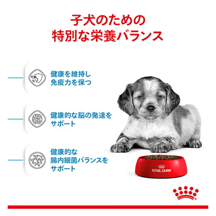 ロイヤルカナン ミディアム パピー 4kg 中型犬用 子犬用 生後12カ月齢