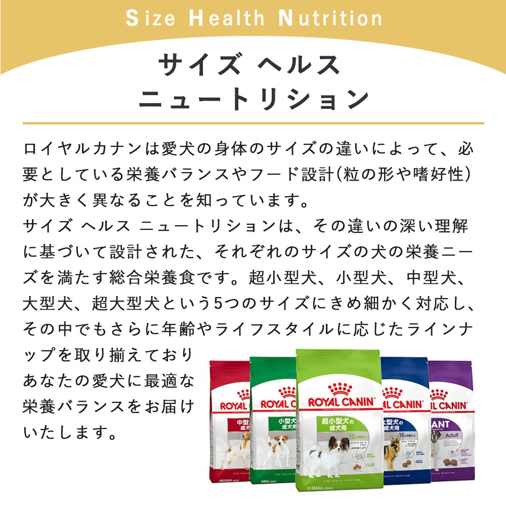 ロイヤルカナン ミディアム アダルト7＋ 4kg 中高齢犬用 シニア