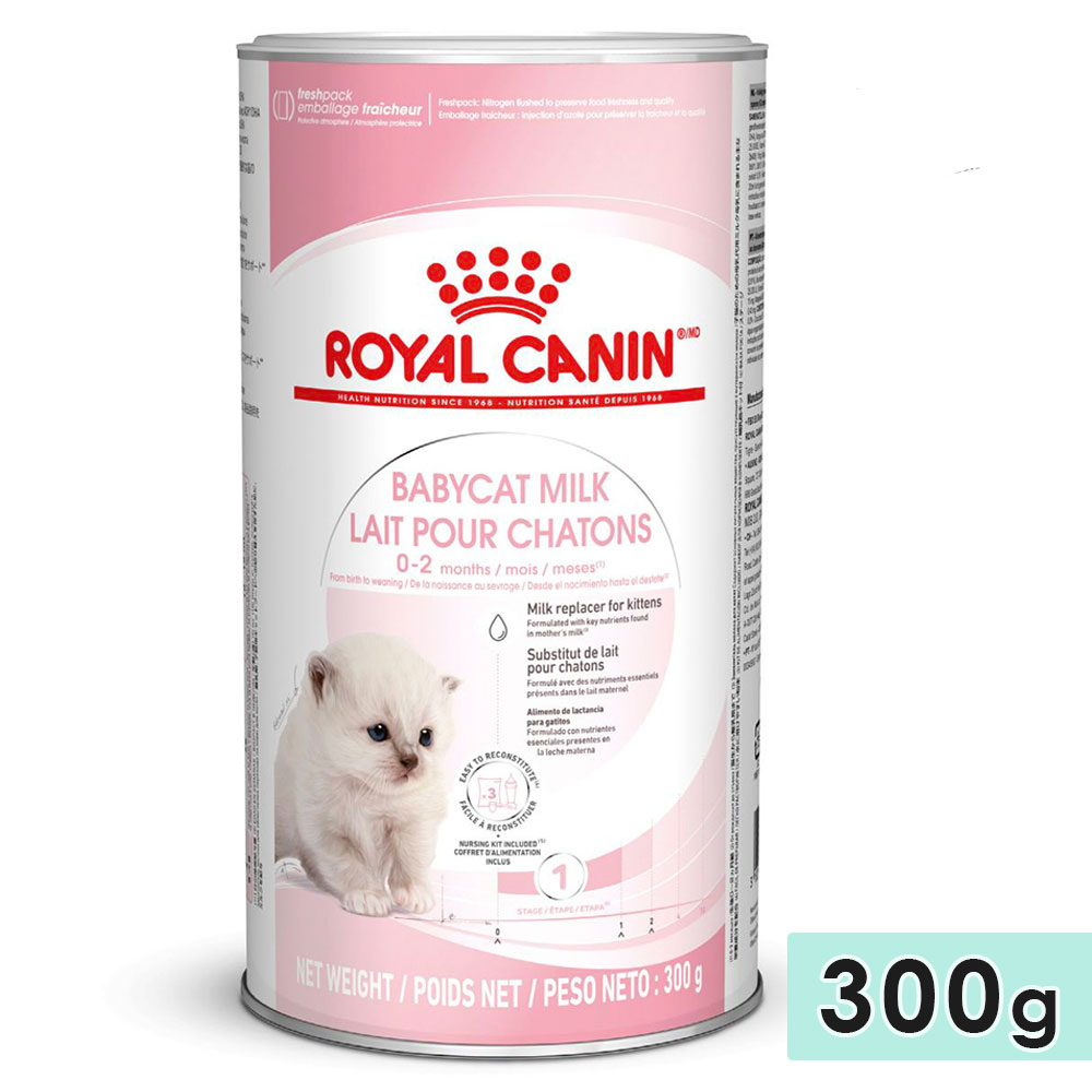 ������륫�ʥ� �٥ӡ�����å� �ߥ륯 300g(100gx3������) ��ǭ�� ��Ĺ���� ������������2����ޤ� ��ǭ���� �ɥ饤�ա��� ����åȥա��� ������ܿ� ROYALCANIN ������