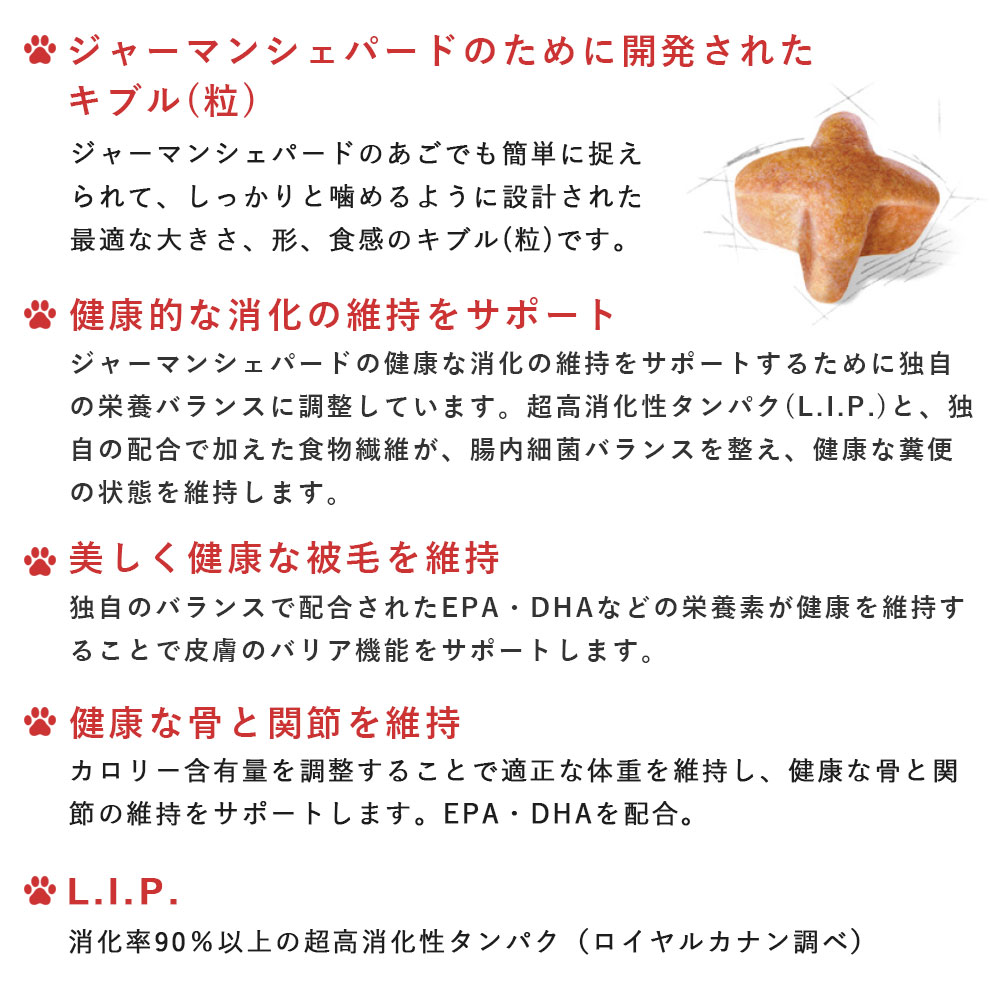 ロイヤルカナン ジャーマンシェパード 3kg 成犬用～高齢犬用 大型犬用