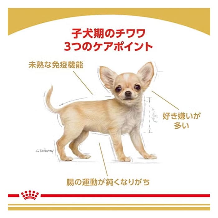 ロイヤルカナン チワワ 子犬用 1.5kg 生後8カ月齢まで ドライフード