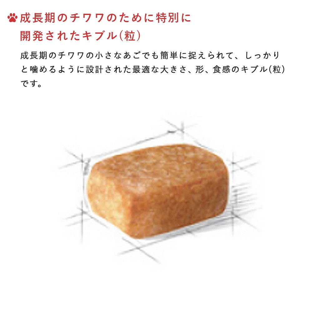 ロイヤルカナン チワワ 1.5kg 子犬用 小型犬用 生後8カ月齢まで