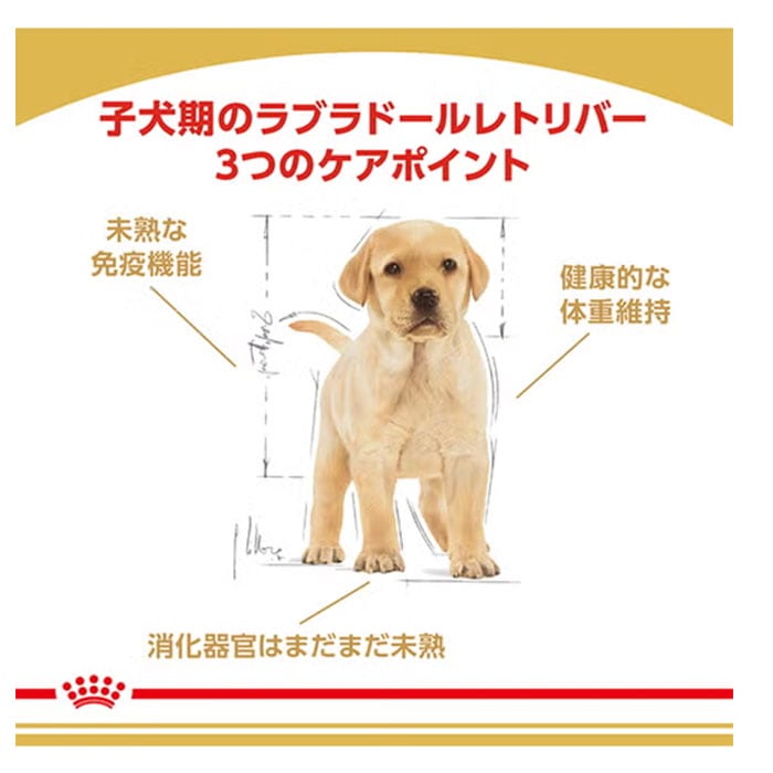 【訳有】ロイヤルカナン ラブラドールレトリバー 子犬用 12kg ロイヤルカナン ラブラドールレトリバー 子犬用 12kg 生後15カ月齢まで