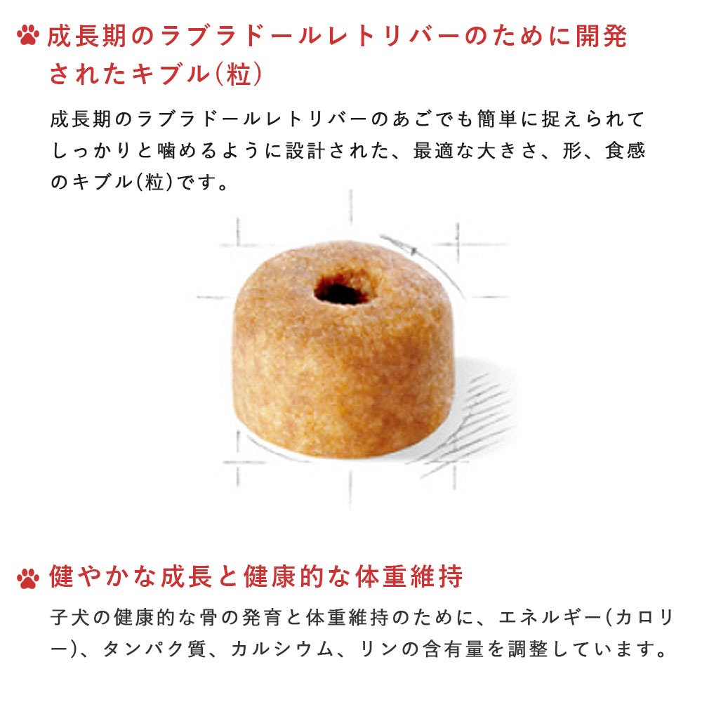 ロイヤルカナン ラブラドールレトリバー 12kg 子犬用 大型犬用