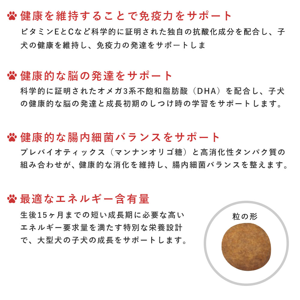  CANIN マキシ パピー ドライフード 大粒 取り寄せ品】ロイヤルカナン マキシパピー 10kg（3182550778305