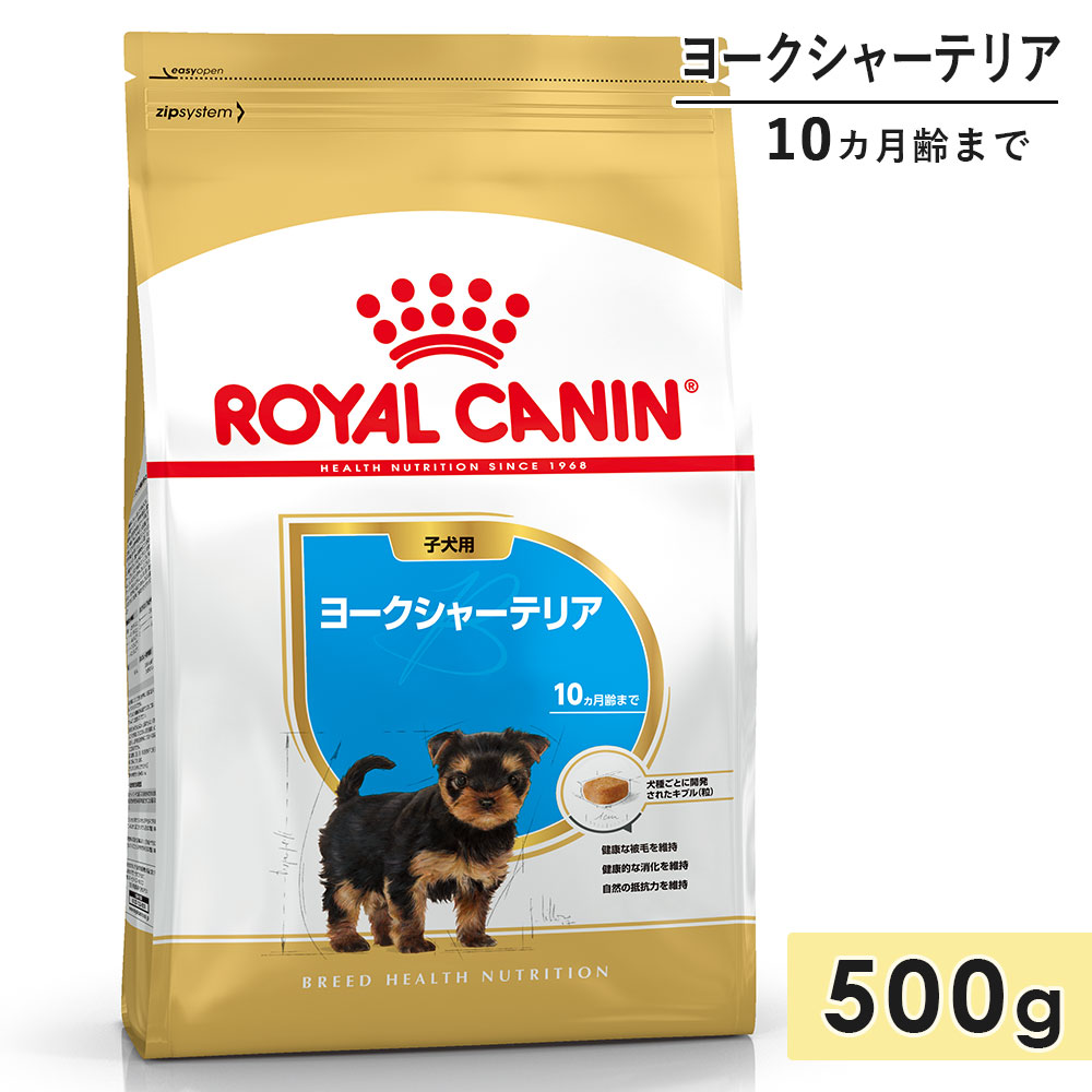 ������륫�ʥ� �衼�����㡼�ƥꥢ �Ҹ��� 500g ����10������ޤ� �ɥ饤�ա��� �ɥå��ա��� ������ܿ� ROYALCANIN ������