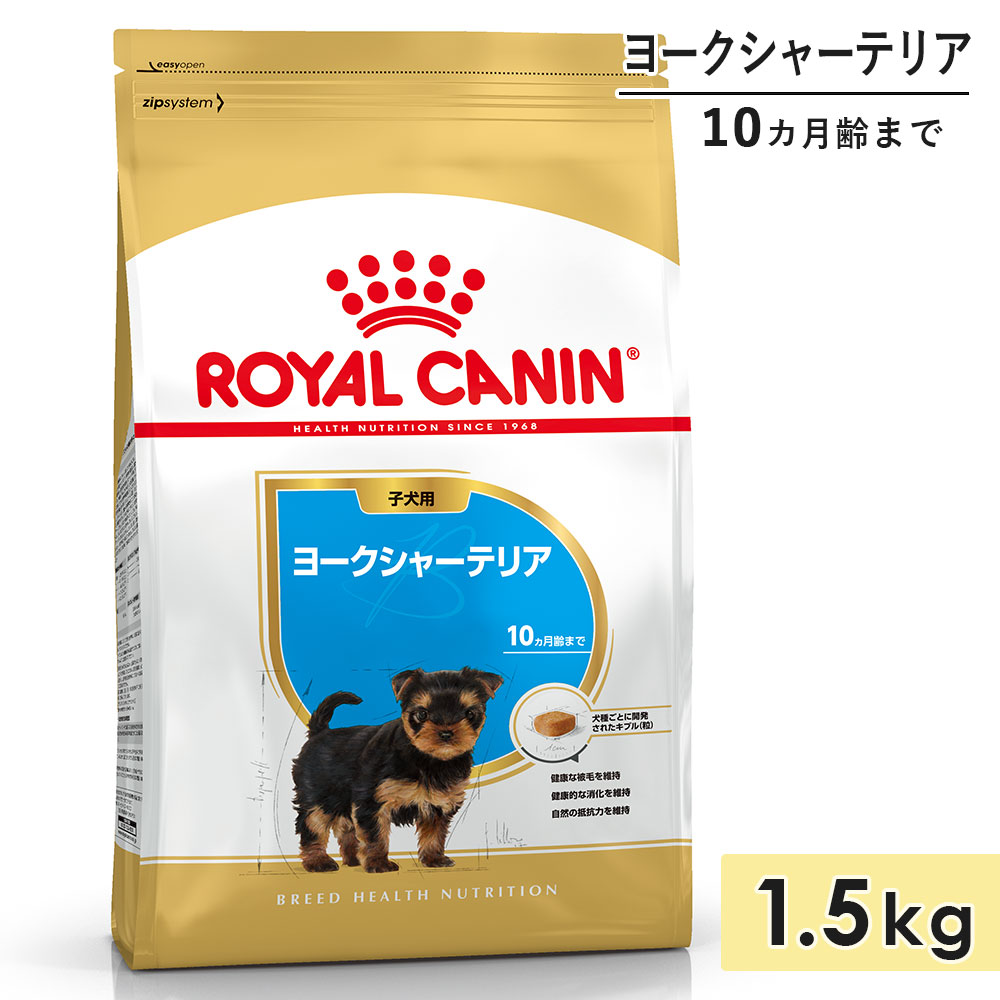 ������륫�ʥ� �衼�����㡼�ƥꥢ �Ҹ��� 1.5kg ����10������ޤ� �ɥ饤�ա��� �ɥå��ա��� ������ܿ� ROYALCANIN ������