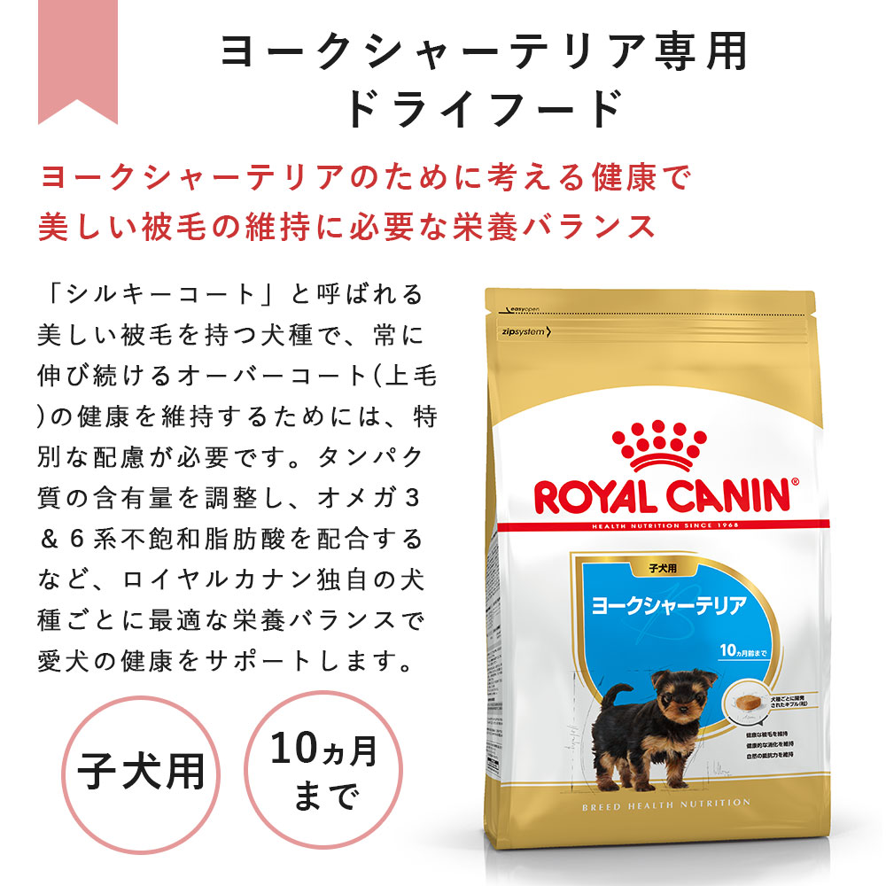 ロイヤルカナン　ヨークシャーテリア用フード　1.5キロ✕4袋 ロイヤルカナン ヨークシャーテリア 成犬～高齢犬用 800g (生後