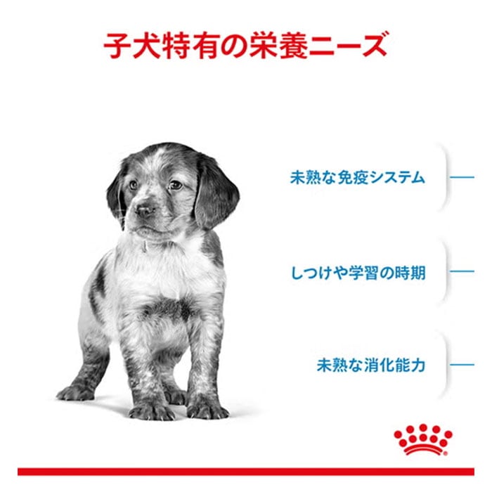 ロイヤルカナン ミディアム パピー 10kg 中型犬用 子犬用 生後12カ月齢