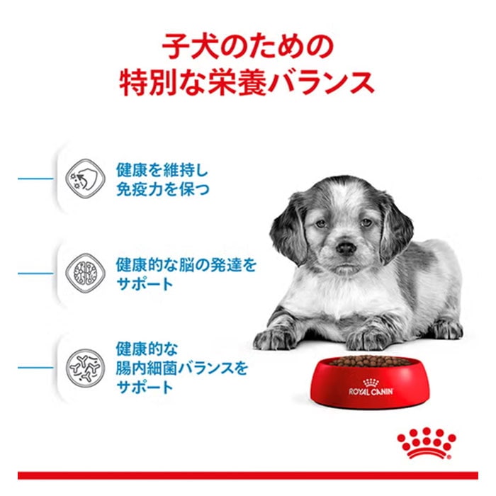 ロイヤルカナン ミディアム パピー 10kg 中型犬用 子犬用 生後12カ月齢