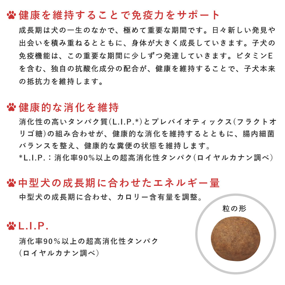 ロイヤルカナン　ミディアムパピー生後12か月歳まで ロイヤルカナン ミディアムパピー 4kg（3182550708180）｜犬