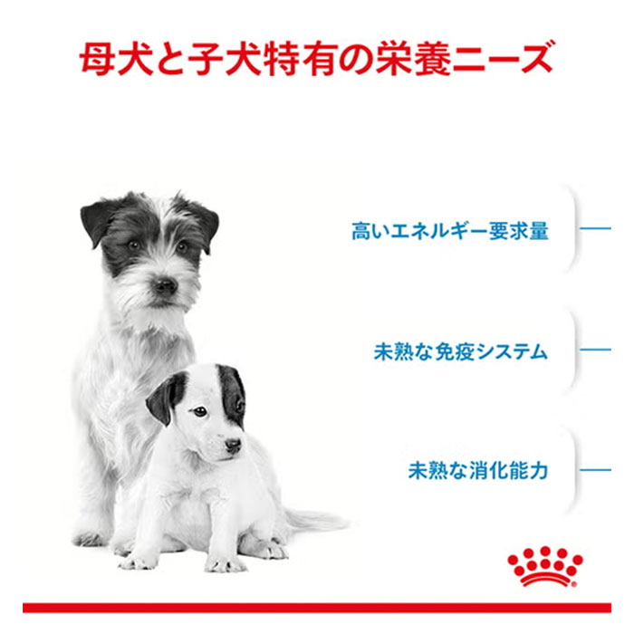 ロイヤルカナン ミニ スターター マザー＆ベビードッグ 3kg 子犬用 母