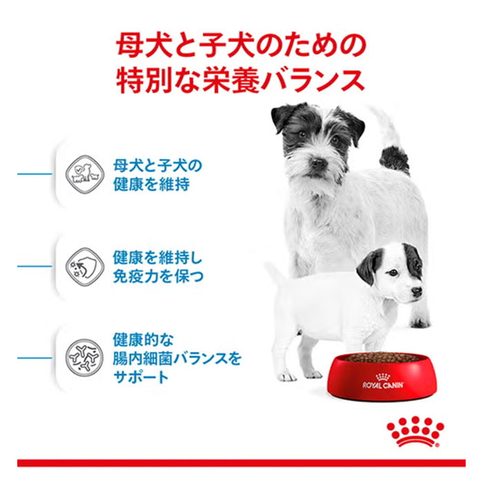 ロイヤルカナン　ミニスターターマザー&ベビードッグ 3kg 2袋　計6キロ ロイヤルカナン ミニ スターター マザー＆ベビードッグ 3kg 子犬用 母