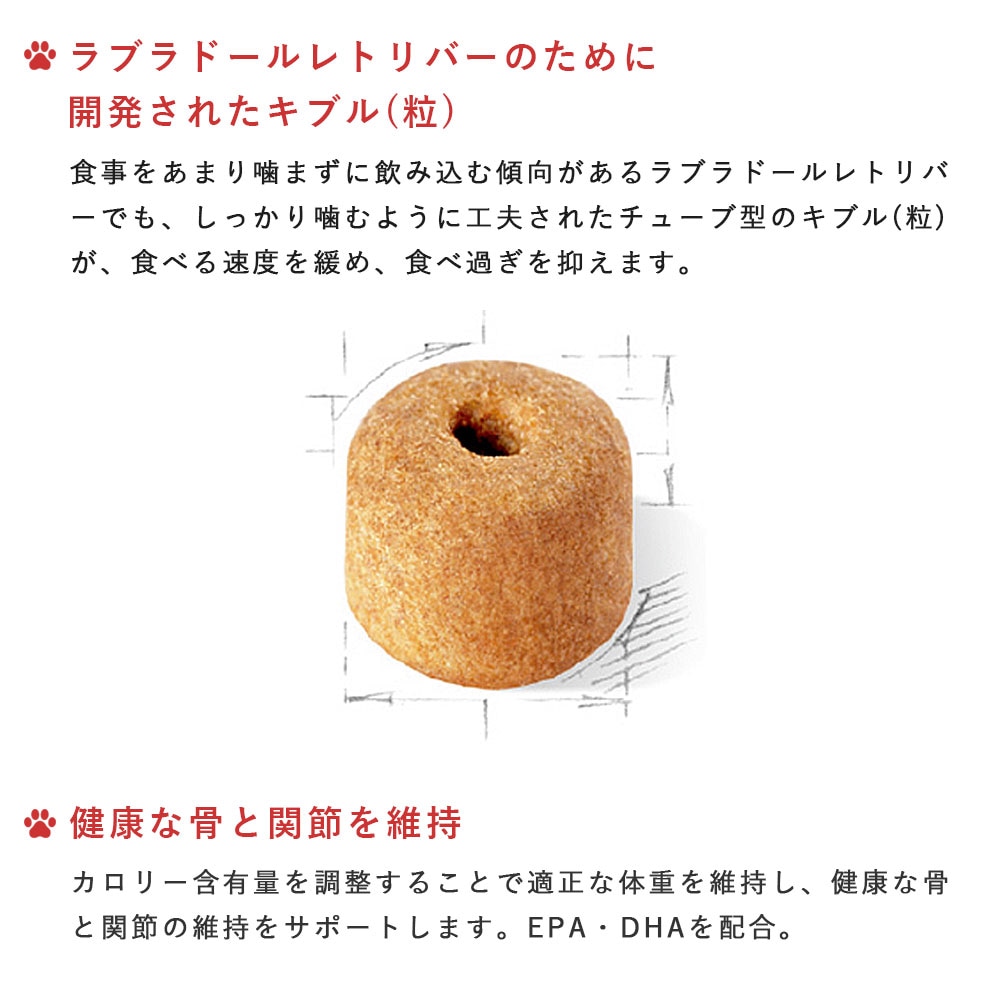 ロイヤルカナン ラブラドールレトリバーステアライズド 12kg 成