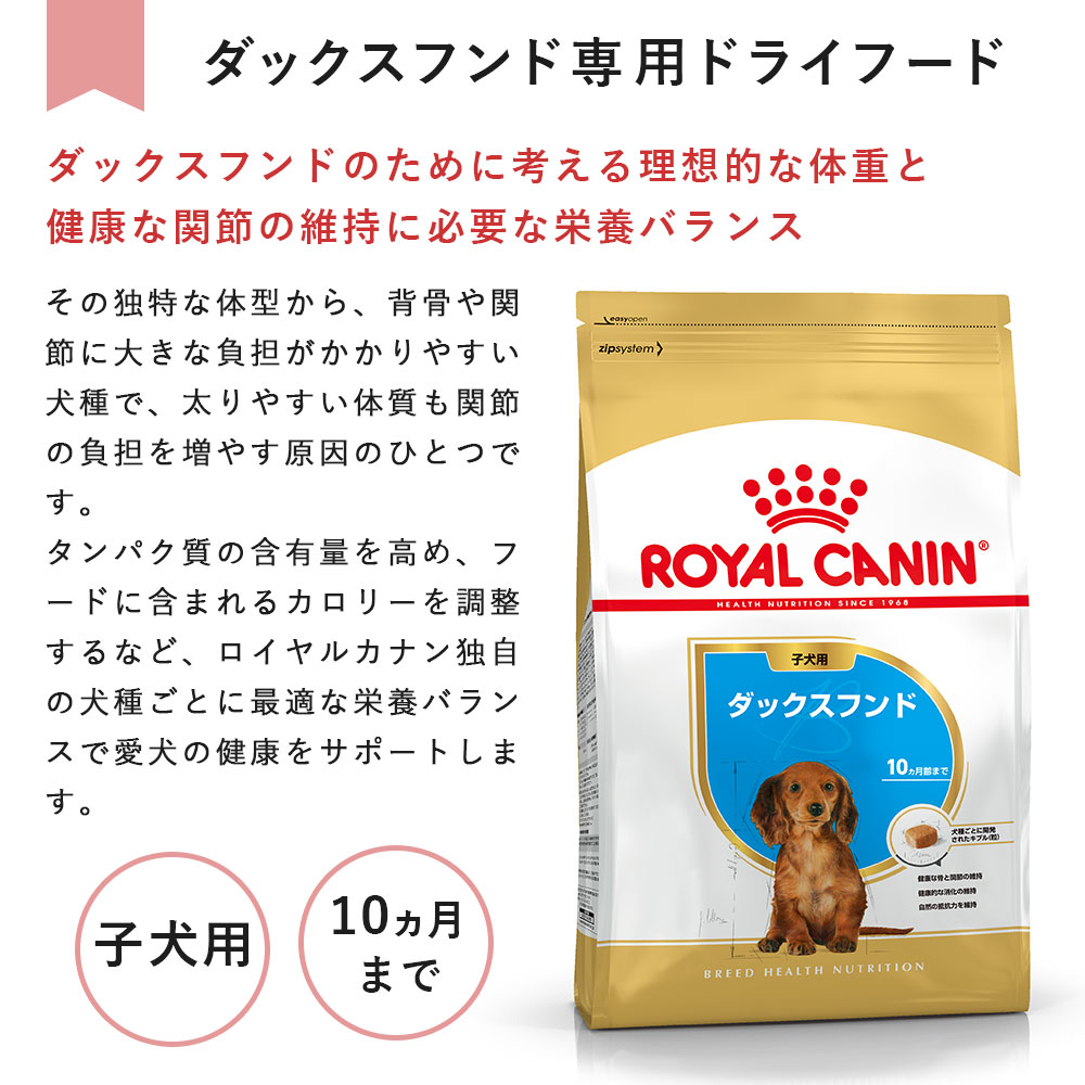 犬用 専用出品 公式 網戸専用犬猫出入 口〈小型犬用〉PD3035ペットドア