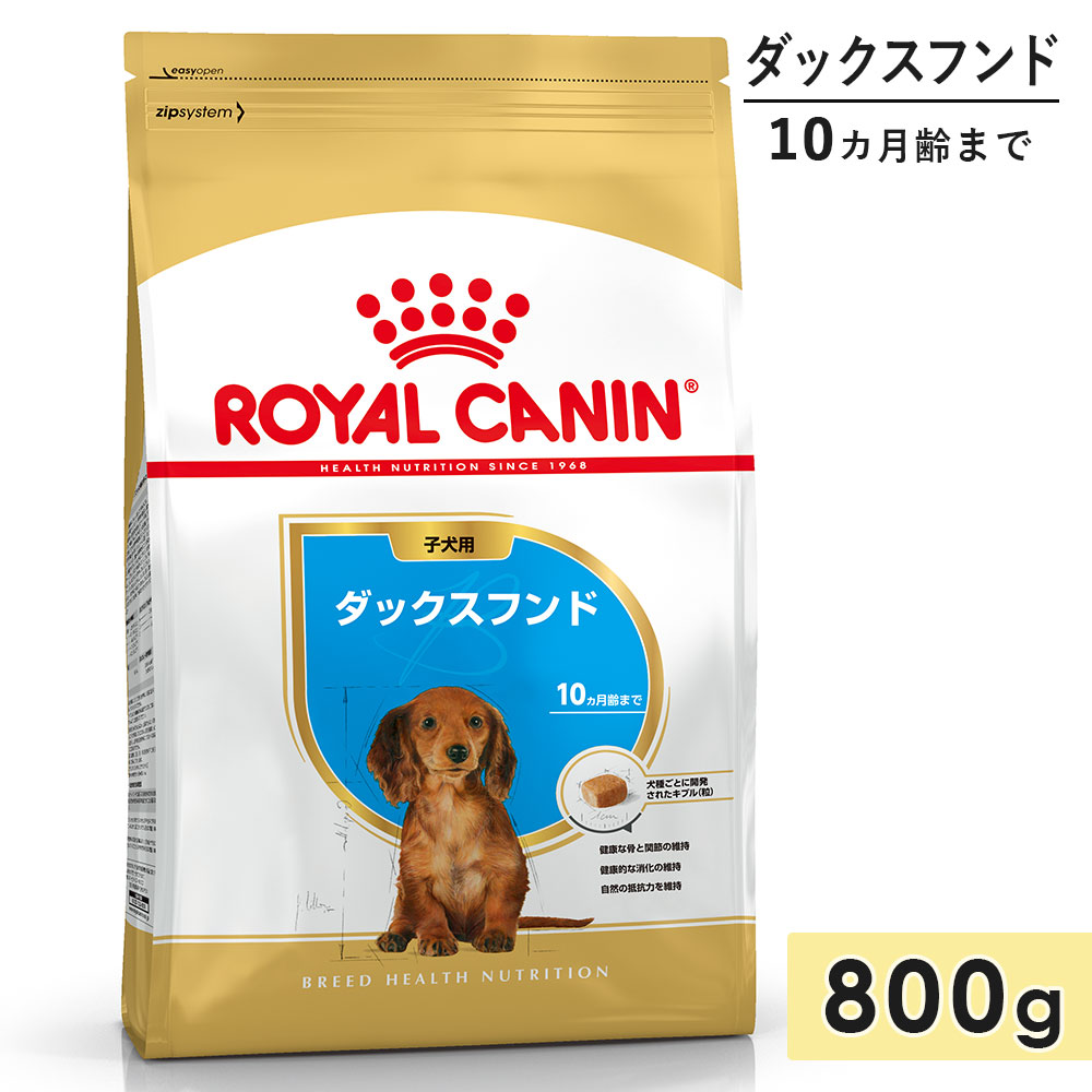 ロイヤルカナン ダックスフンド 800g 子犬用 小型犬用 中型犬用