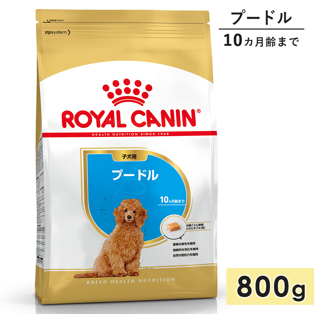 ������륫�ʥ� �ס��ɥ� �Ҹ��� 800g ����10������ޤ� �ɥ饤�ա��� �ɥå��ա��� ������ܿ� ROYALCANIN ������