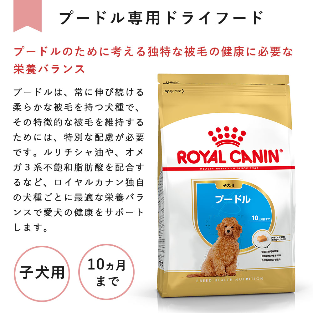 ロイヤルカナン プードル 800g 子犬用 小型犬用 生後10カ月齢