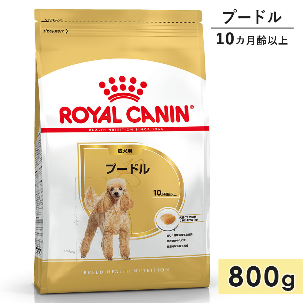 ������륫�ʥ� �ס��ɥ� ������ 800g ����10������ʾ� �ɥ饤�ա��� �ɥå��ա��� ������ܿ� ROYALCANIN ������