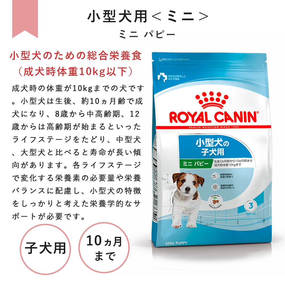  CANIN スキンケア パピー 小型犬用 8kg スキンケア パピー (小型犬用 ドライ） | ロイヤルカナン療法食
