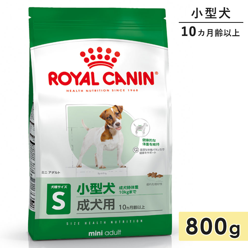 륫ʥ ߥ˥ 800g   10ʾ ɥåա ɥ饤ա ROYAL CANIN