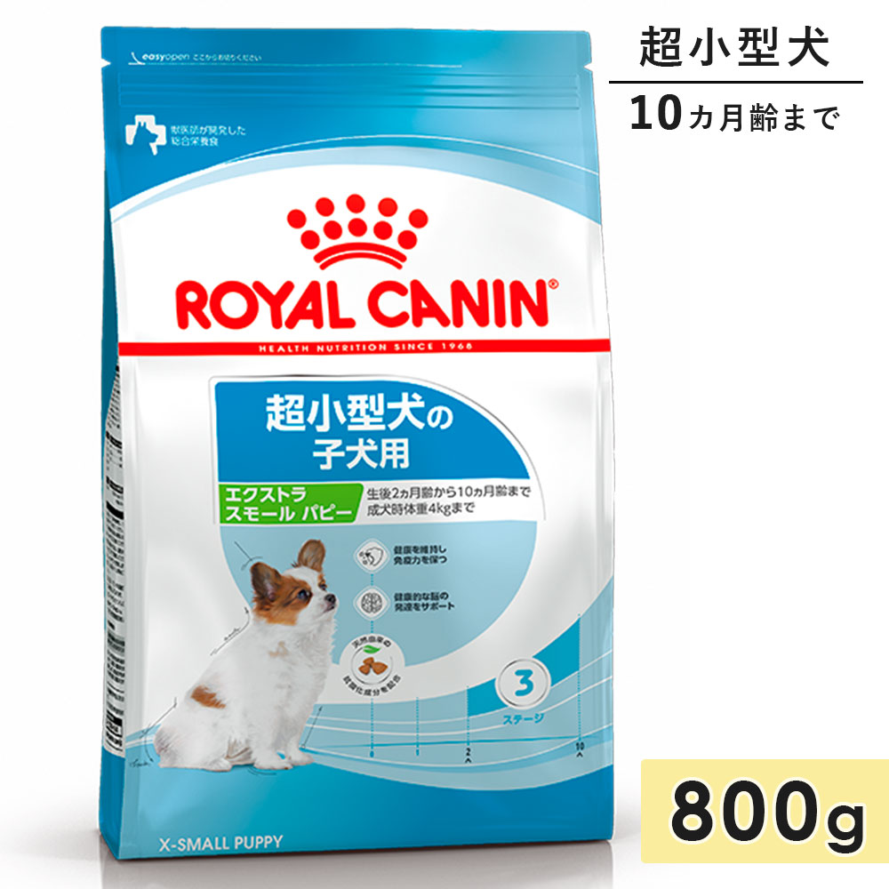 ������륫�ʥ� �������ȥ� ���⡼�� �ѥԡ� 800g Ķ�������� �Ҹ��� ����10������ޤ� �ɥ饤�ա��� �ɥå��ա��� ������ܿ� ROYALCANIN ������