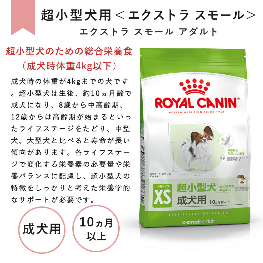 CANIN ドライフード エクストラスモールアダルト10kg×2個 エクストラ