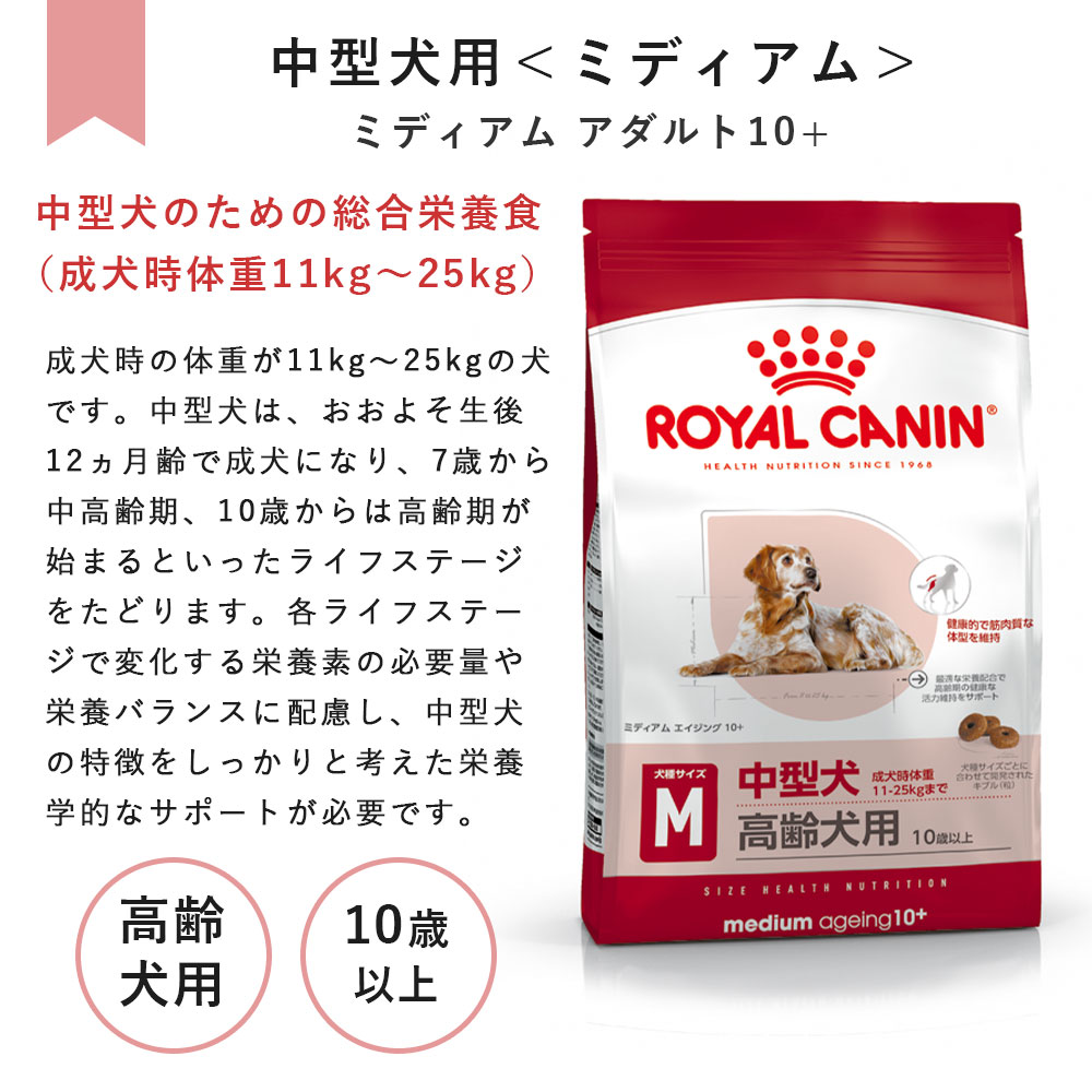 ann1220chie0616 ミディアム エイジング10+ 3kg×2袋 Amazon | ロイヤルカナン SHN ミディアム エイジング 10+ 犬用