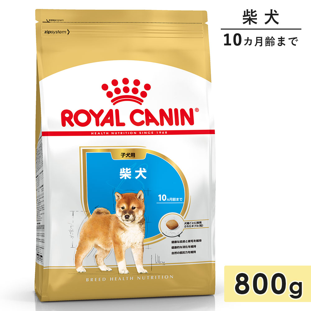 ������륫�ʥ� �Ƹ� �Ҹ��� 800g ����10������ޤ� �ɥ饤�ա��� �ɥå��ա��� ������ܿ� ROYALCANIN ������