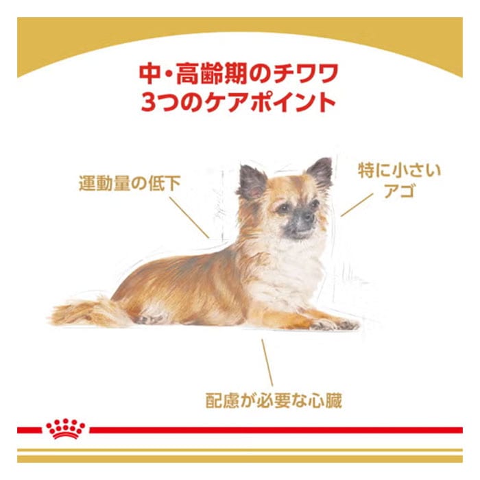 ロイヤルカナン チワワ 中・高齢犬用 3kg 8歳以上 8+ ドライフード