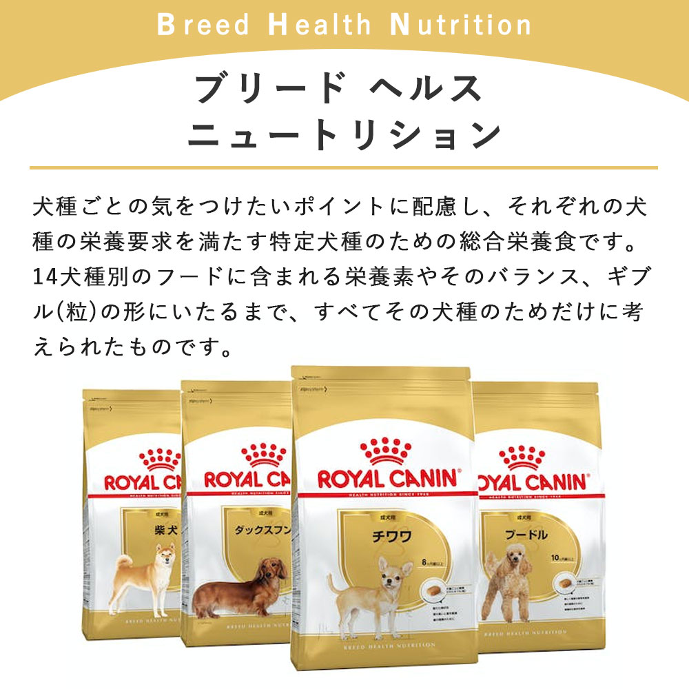 ロイヤルカナン ダックスフンド 3kg 中高齢犬用～高齢犬用 シニア犬用