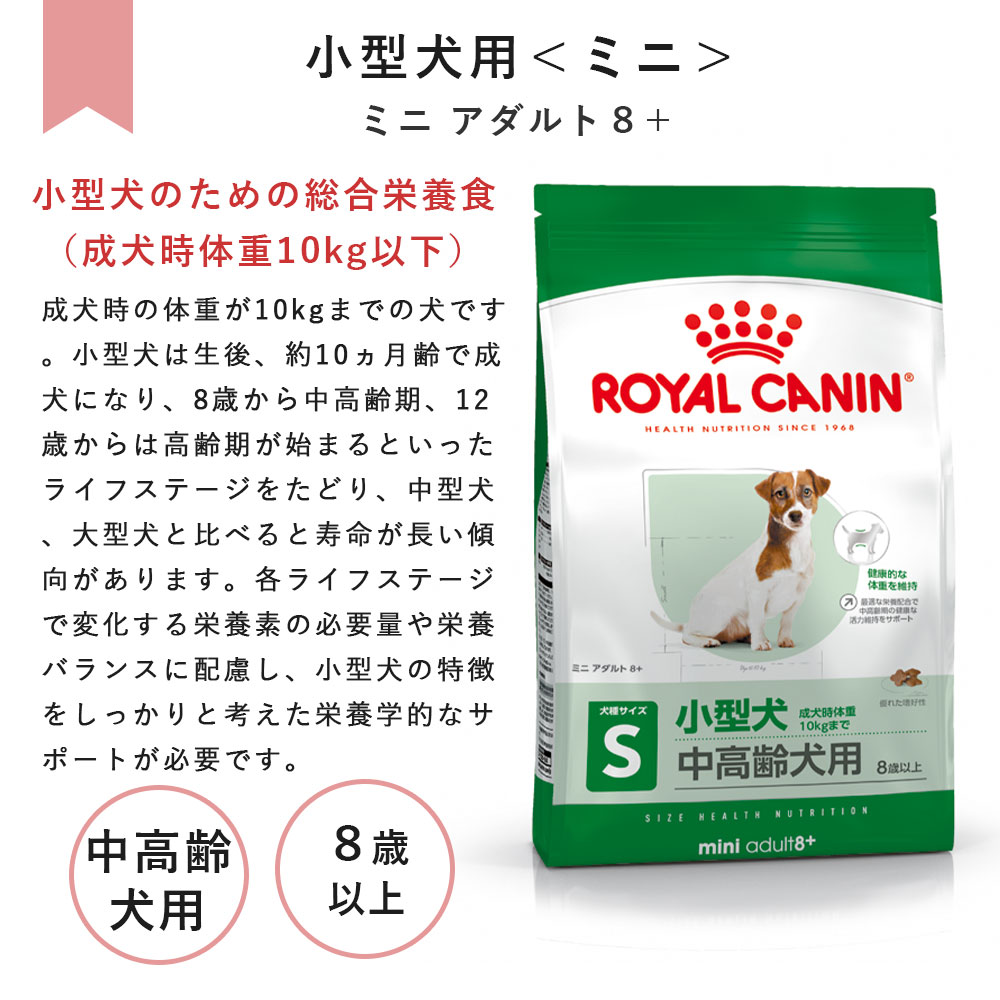  CANIN 小型犬　中高齢犬用 ドッグフード 8kg ロイヤルカナン ミニアダルト8+ 8kg 中高齢犬用 シニア犬用 小型