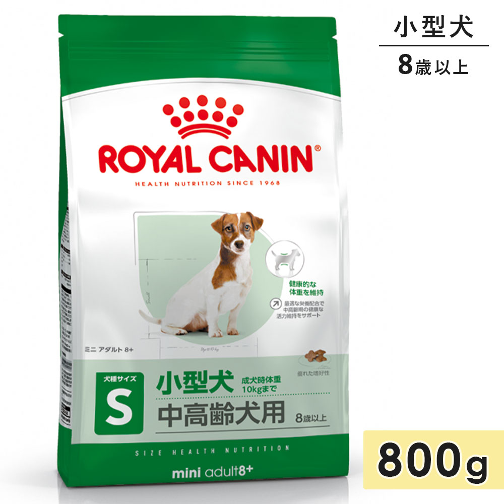 ������륫�ʥ� �ߥ� ������� 8+ 800g �������� ������� 8�аʾ� 8+ �ɥ饤�ա��� �ɥå��ա��� ������ܿ� ROYALCANIN ������