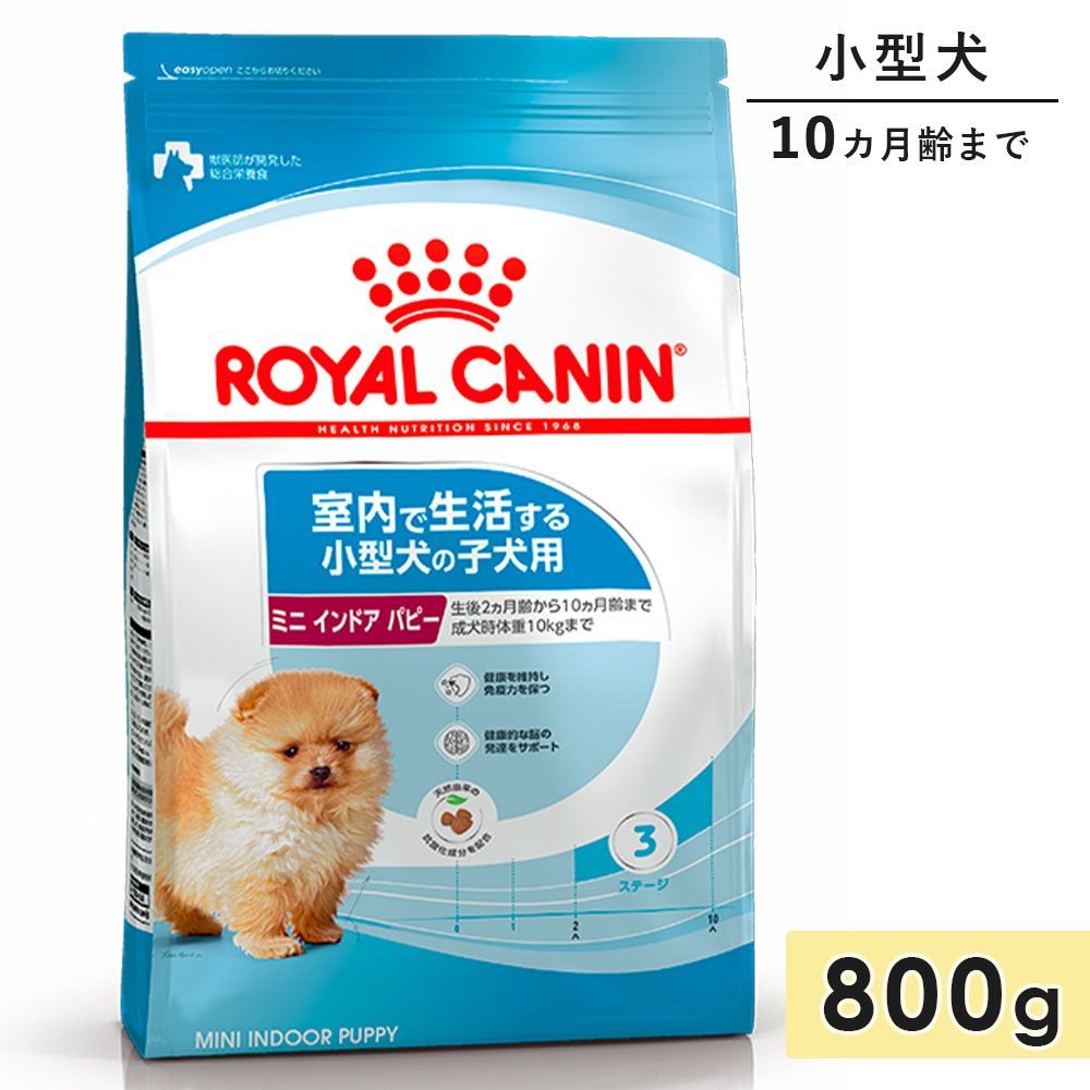 륫ʥ ߥ˥ɥѥԡ 800g Ҹ  10ޤ ɥåա ɥ饤ա 褹븤 ROYAL CANIN