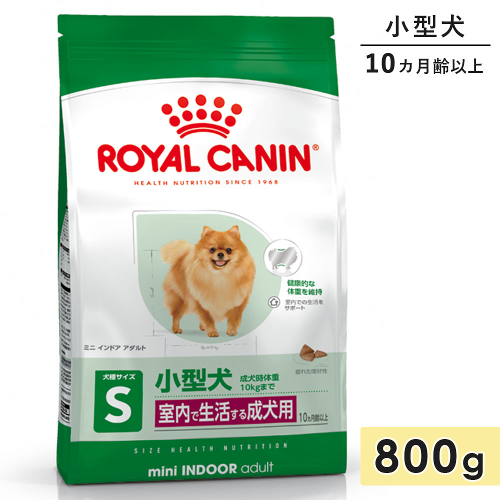������륫�ʥ� �ߥ� ����ɥ� ������� 800g �������� ������ ����10�������8�Фޤ� ��������褹�뾮������ �ɥ饤�ա��� �ɥå��ա��� ������ܿ� ROYALCANIN ������
