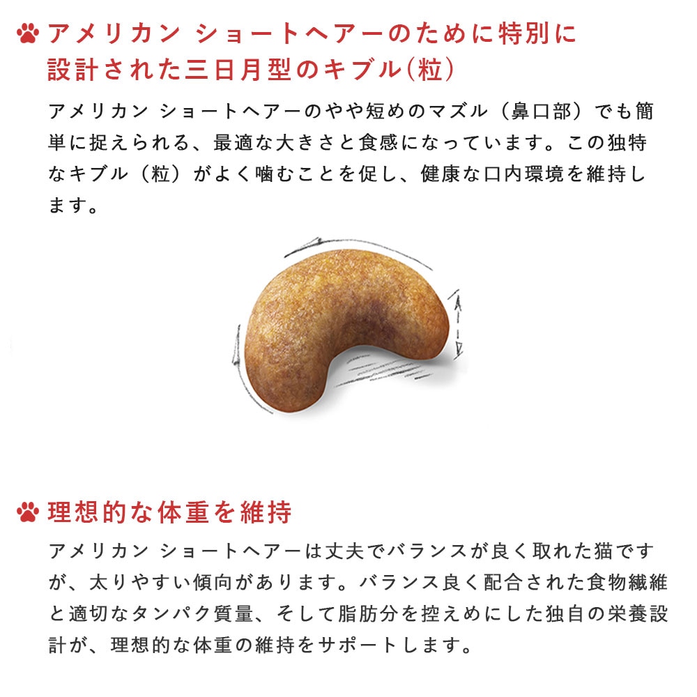 ロイヤルカナン アメショー 成猫用 2㎏×4 計8㎏