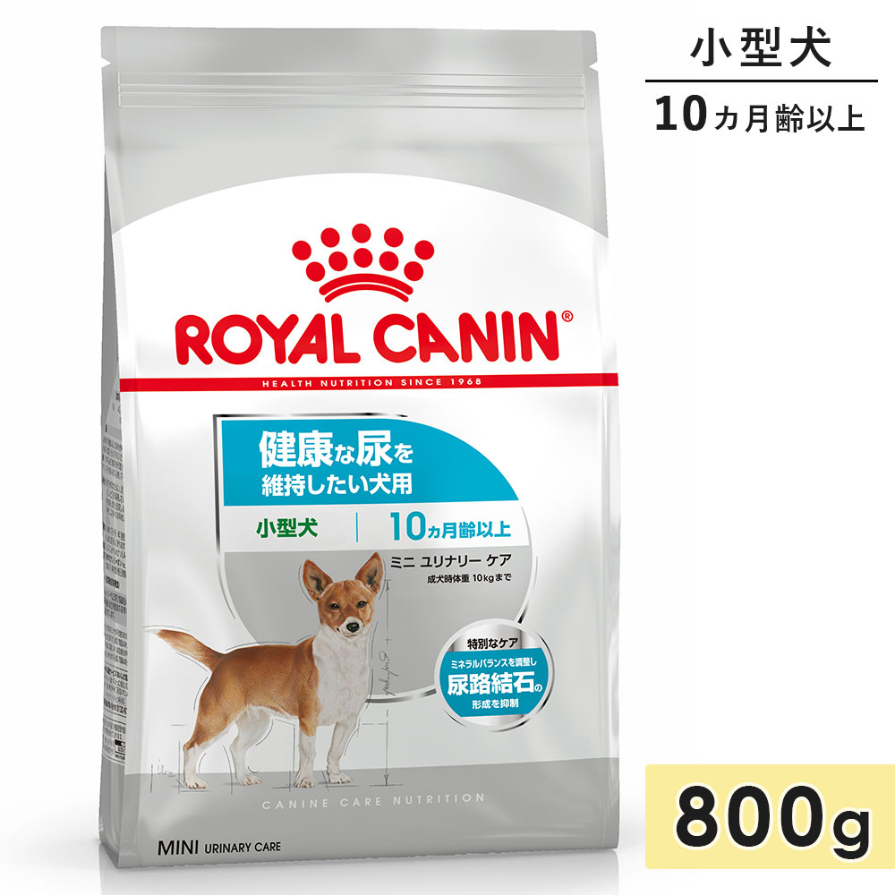������륫�ʥ� �ߥ� ���ʥ꡼ ���� 800g �������� ������������ ����10������ʾ� �򹯤�Ǣ��ݻ����������� �ɥ饤�ա��� �ɥå��ա��� ������ܿ� ROYALCANIN ������