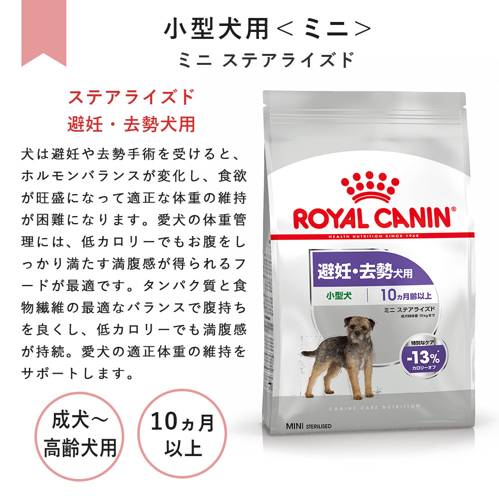 ロイヤルカナン ミニステアライズド 小型犬 10ヵ月齢以上 8kg×3袋 ロイヤルカナン ミニステアライズド 小型犬 10ヵ月齢以上 8kg×3