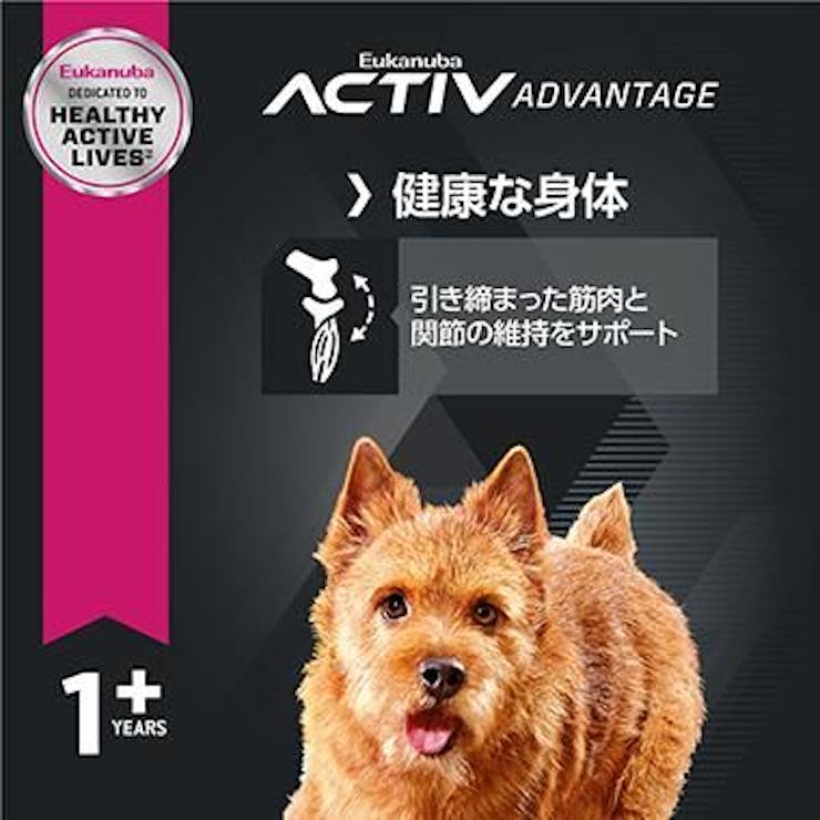 ユーカヌバ スモール アダルト 800g 成犬用 小型犬用 チキン 1歳以上