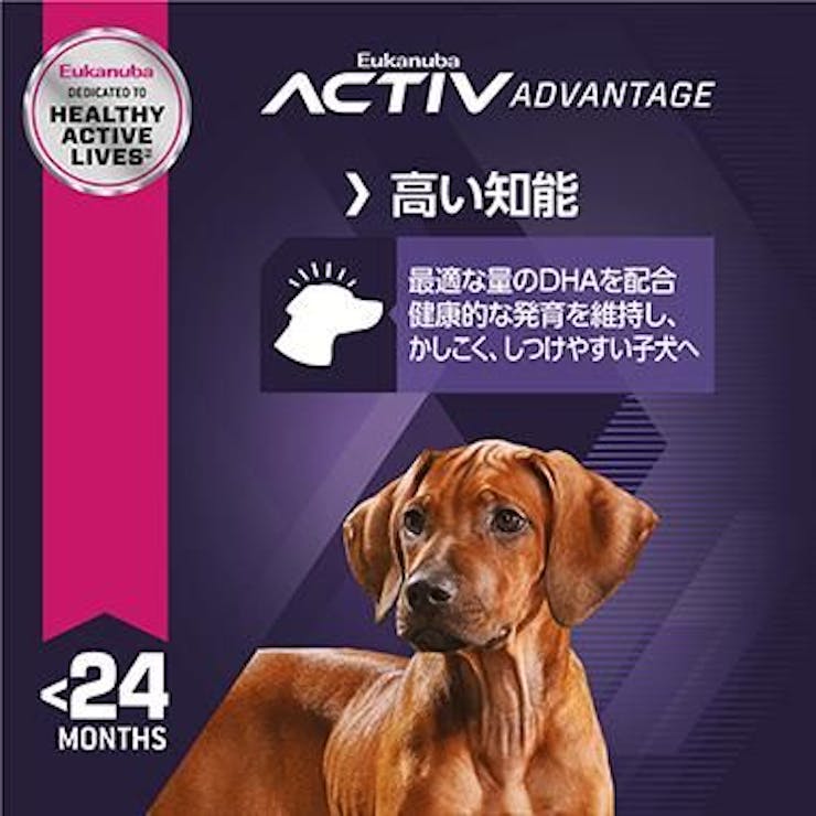 ユーカヌバ ラージ パピー 7.5kg 子犬用 大型犬用 チキン 生後24カ月
